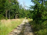  Blick auf die Wanderstrecke 