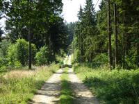  Blick auf die Wanderstrecke 