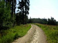  Blick auf die Wanderstrecke 