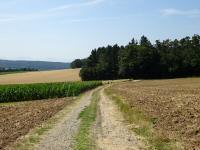  Blick auf die Wanderstrecke 