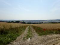  Blick auf die Wanderstrecke nach Ratzersdorf