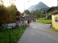  Blick auf die Wanderstrecke in Gallhof 