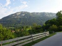  Fernblick zum "Hoher Angerwald" 