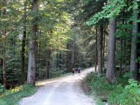  Blick auf die Wanderstrecke zum Grundlsee 