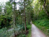  Wanderroute entlang der Grundlseer Traun 