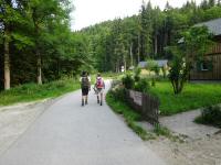  Blick auf die Wanderstrecke bei der Streusiedlung Aschau 