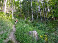  Blick auf die Wanderstrecke 