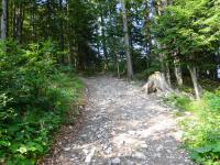 Blick auf die Wanderstrecke zur Tressenstein-Aussichtswarte 