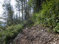 Blick auf die Wanderstrecke zur Tressenstein-Aussichtswarte 