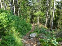 Blick auf die Wanderstrecke beim Abstieg vom Tressenstein 