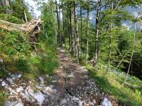 Blick auf die Wanderstrecke beim Abstieg vom Tressenstein 