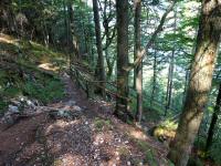 Blick auf die Wanderstrecke bergab auf dem Wanderweg nach Altaussee 