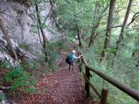 Blick auf die Wanderstrecke bergab auf dem Wanderweg nach Altaussee 