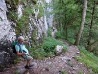 Blick auf die Wanderstrecke bergab auf dem Wanderweg nach Altaussee 