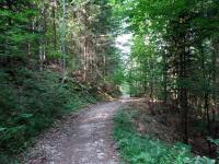 Blick auf die Wanderstrecke bergab auf dem Wanderweg nach Altaussee 