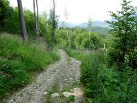 Blick auf die Wanderstrecke bergab auf dem Wanderweg nach Altaussee 