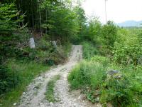 Blick auf die Wanderstrecke bergab auf dem Wanderweg nach Altaussee 