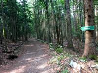 Blick auf die Wanderstrecke auf dem Wanderweg nach Altaussee 