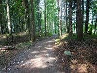 Blick auf die Wanderstrecke auf dem Wanderweg nach Altaussee 