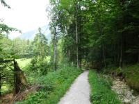  Blick auf die Wanderstrecke zum Altausseer See 