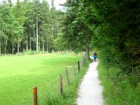  Blick auf die Wanderstrecke zum Altausseer See 