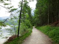 Blick auf die Wanderstrecke entlang des Altausseer See 