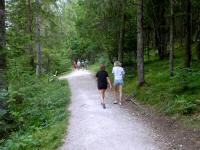  Blick auf die Wanderstrecke entlang des Altausseer See 