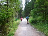 Blick auf die Wanderstrecke entlang des Altausseer See 