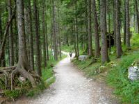 Blick auf die Wanderstrecke zur Jausenstation Seewiese Altaussee 