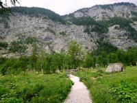  Blick auf die Wanderstrecke bei der Seewiese 