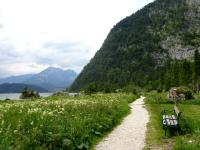  Blick auf die Wanderstrecke bei der Seewiese 