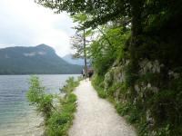 Blick auf die Wanderstrecke entlang des Altausseer See 