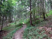 Blick auf die Wanderstrecke auf dem Arnethweg 