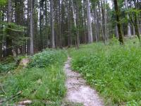 Blick auf die Wanderstrecke auf dem Arnethweg 