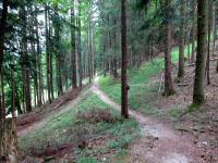 Blick auf die Wanderstrecke auf dem Arnethweg 