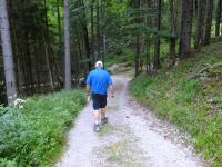 Blick auf die Wanderstrecke auf dem Arnethweg 