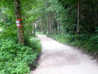 Blick auf die Wanderstrecke auf dem Arnethweg 