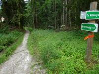 Blick auf die Wanderstrecke auf dem Arnethweg 