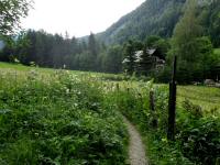  Blick auf die Wanderstrecke 