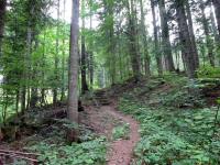  Blick auf die Wanderstrecke 