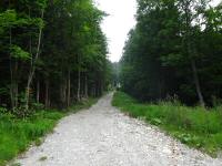  Blick auf die Wanderstrecke zum Weiler Steinberg 