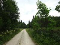  Blick auf die Wanderstrecke 