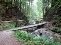 Blick auf die Wanderstrecke beim Steg ber den Trattenbach 