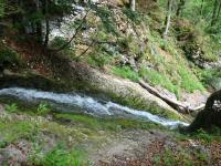  Blick auf den Trattenbach 