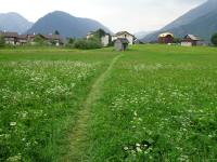 Blick auf die Wanderstrecke zu einer Randsiedlung von Bad Aussee 