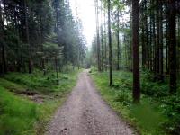  Wanderroute auf dem Austegweg zur Koppentraun 