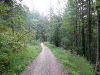  Wanderroute auf dem Austegweg zur Koppentraun 