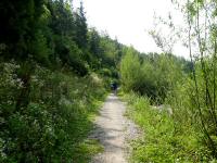  Blick auf die Wanderstrecke entlang der Alm 