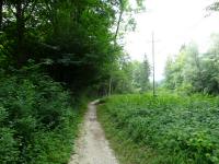  Blick auf die Wanderstrecke entlang der Alm 