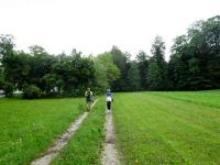  Blick auf die Wanderstrecke in Almau 